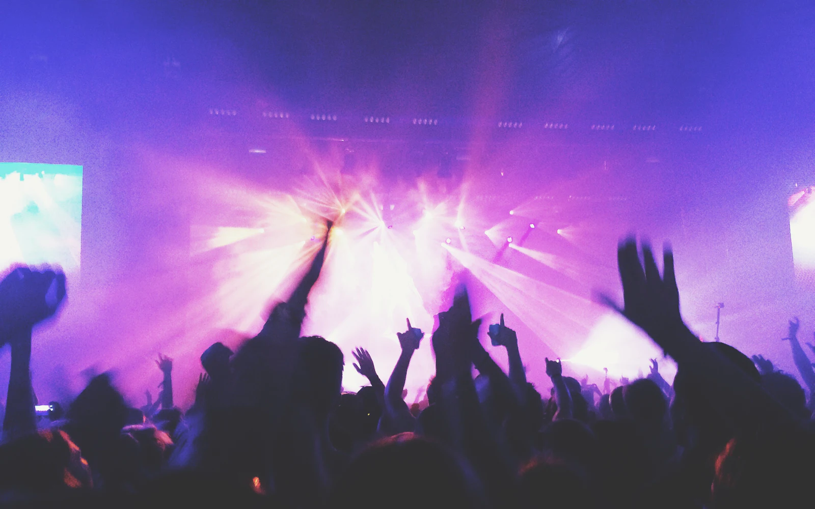 Público bailando bajo luces rosas y moradas en un concierto